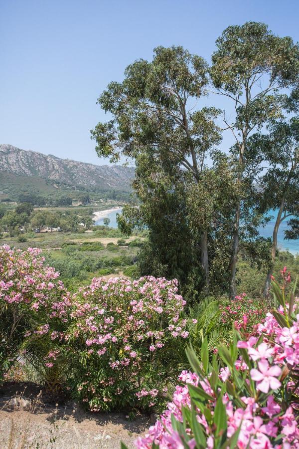 Appartement Terrasse La Citadelle Appartements Saint Florent Ngoại thất bức ảnh